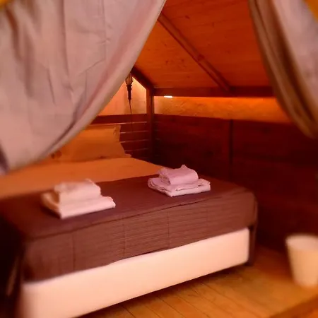 Campsite Lemon Tree Urban Camping *