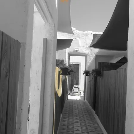 Lemon Tree Urban Camping * Faro
