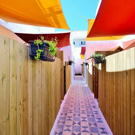 Lemon Tree Urban Camping * Faro
