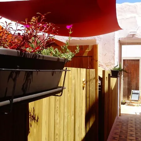 Lemon Tree Urban Camping Campsite
